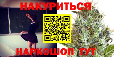 Альфа ПВП Лесосибирск