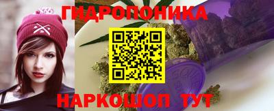 Альфа ПВП Лесосибирск