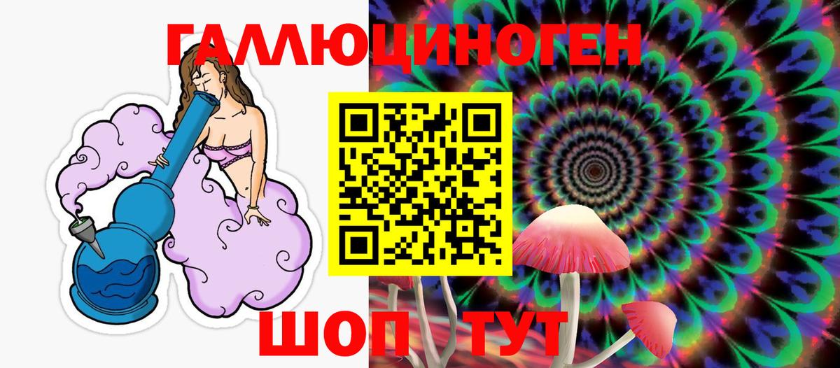 Псилоцибиновые грибы Psilocybe Зерноград